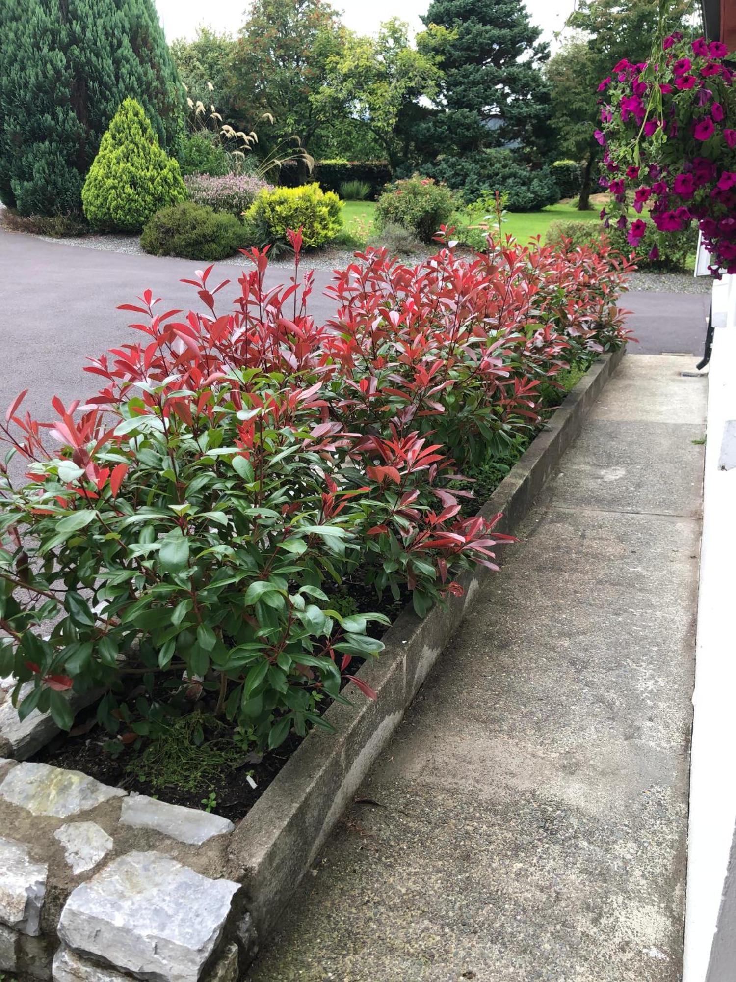 An Bruachan B&B Kenmare Luaran gambar