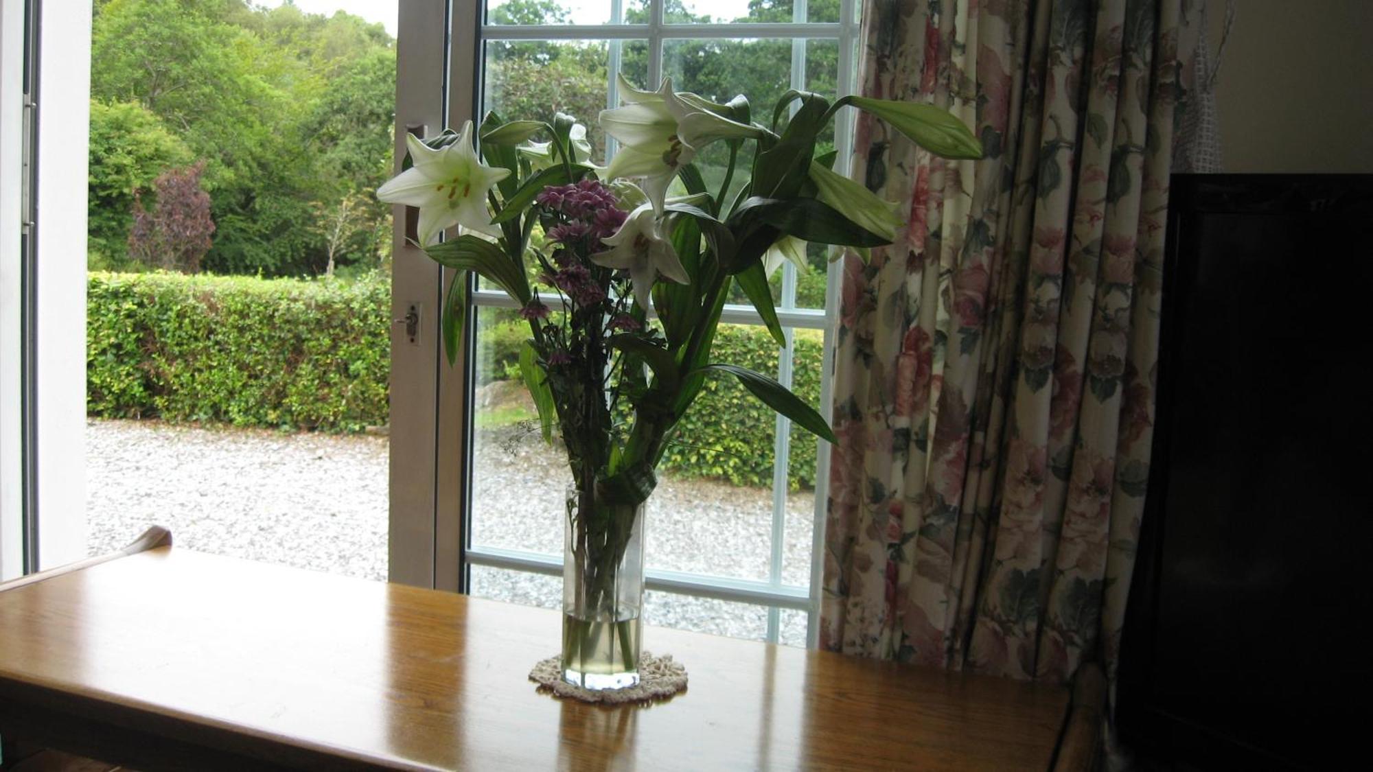 An Bruachan B&B Kenmare Luaran gambar